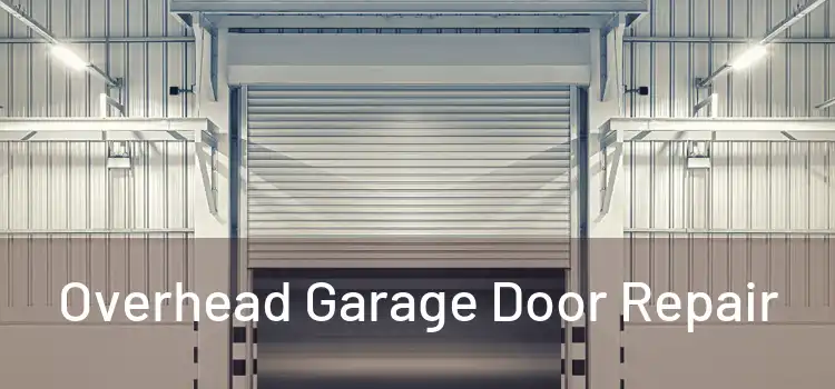  Overhead Garage Door Repair 
